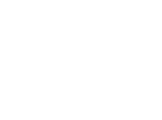 Festiwall 2019 logo